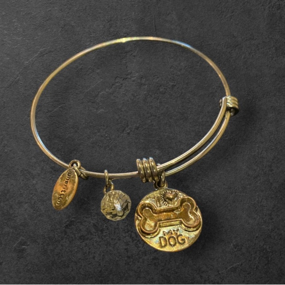 Silver adjustable bracelet and Gold bone dog Charm Bangle Bracelet